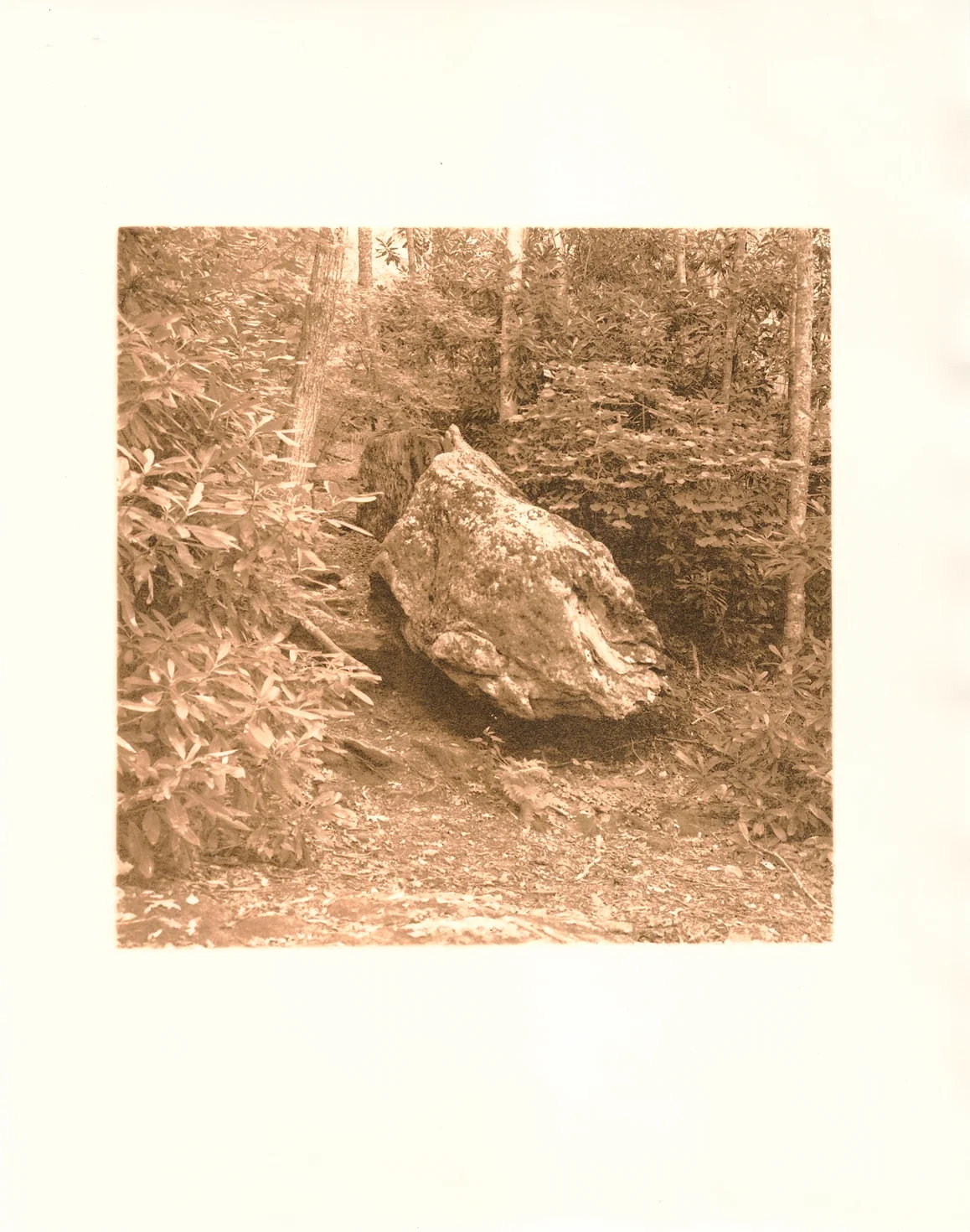 HWS.04, 2014