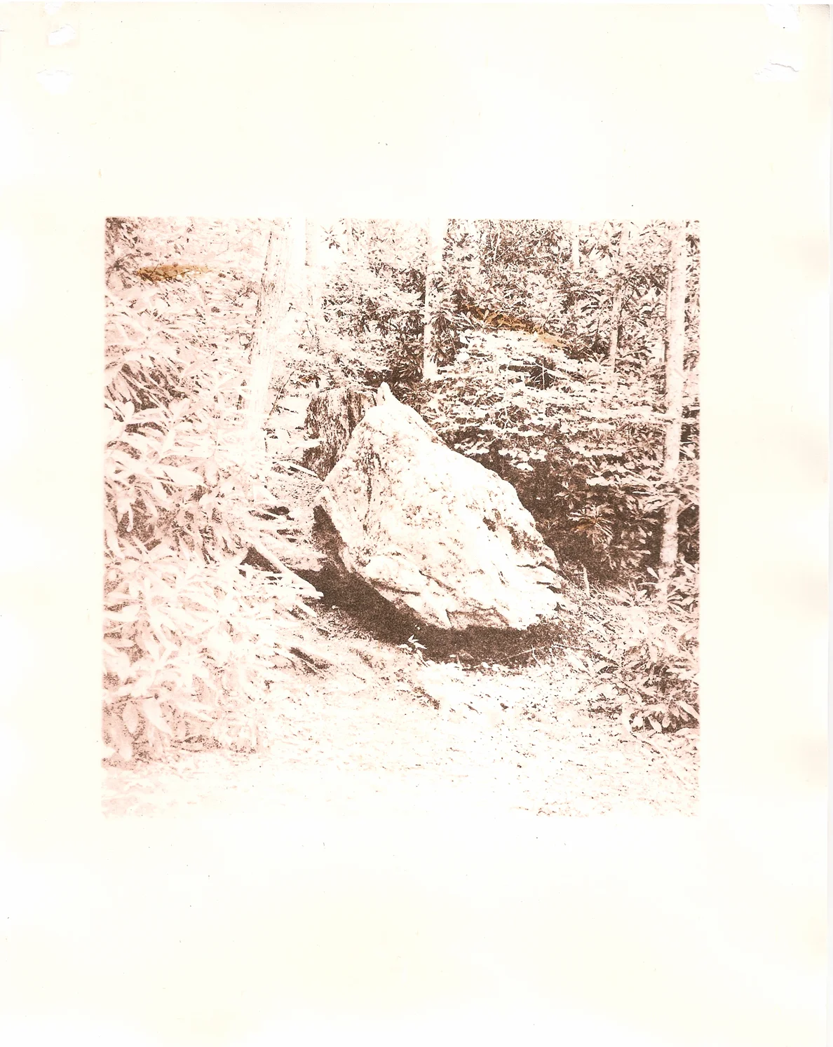 HWS.06, 2014