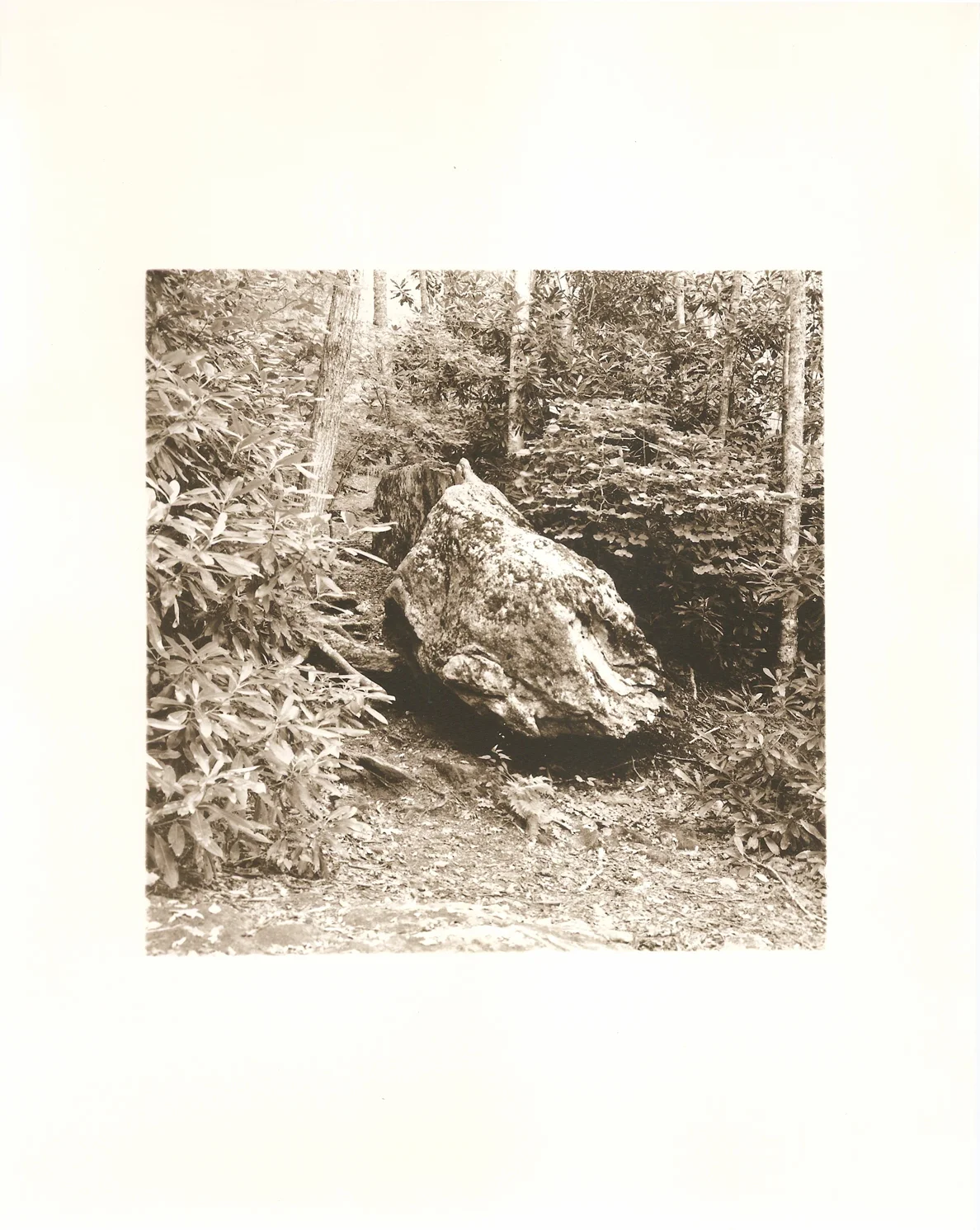 HWS.07, 2014