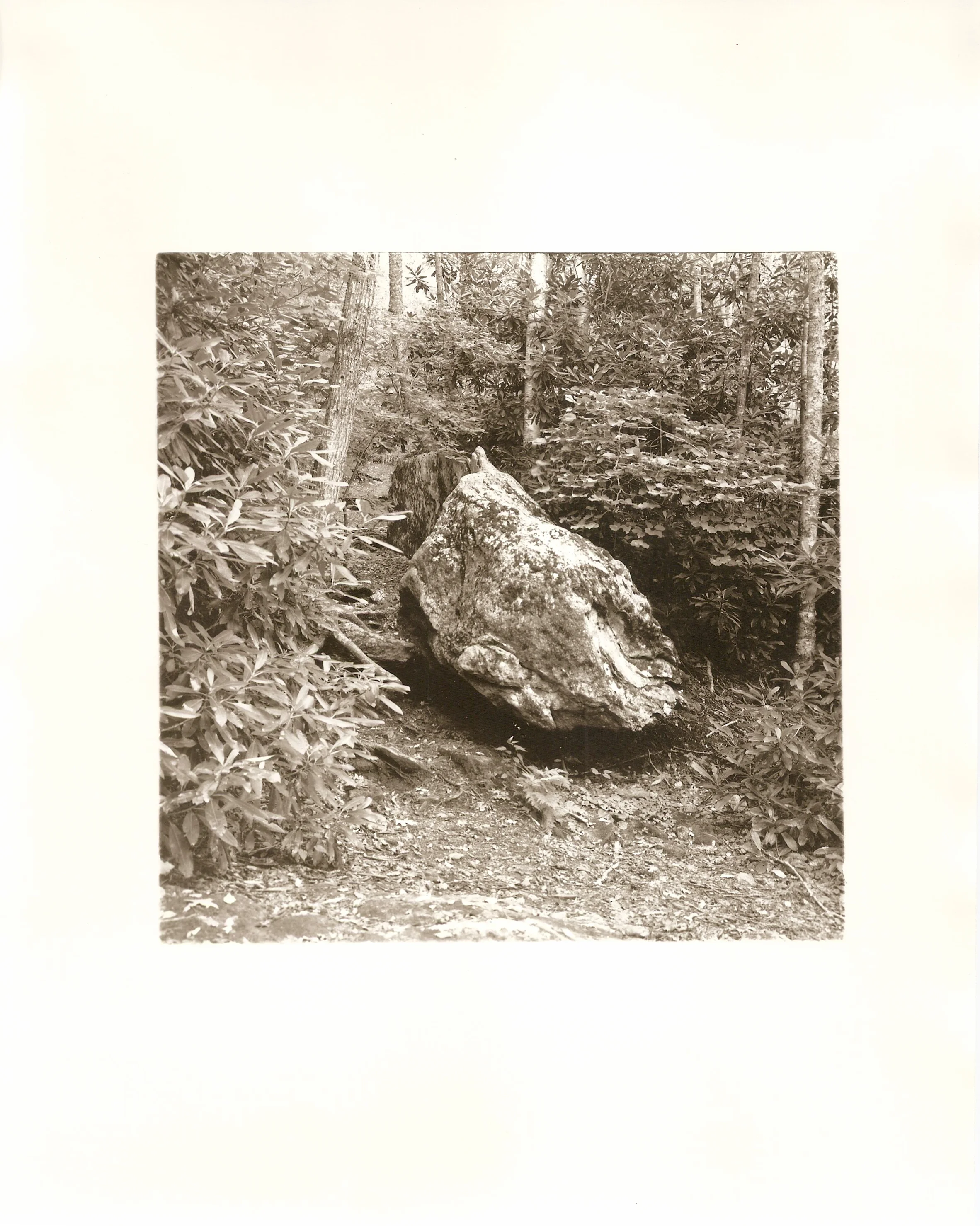HWS.08, 2014