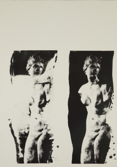 Aphrodite Doubled Unique Photo Silk Screen 24 x 18 inches