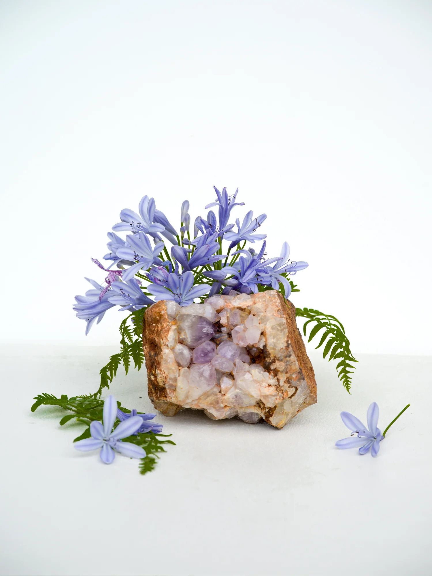 Agapanthus, Amethyst, and Fern, 2018 Signed on verso Archival pigment print back mounted to plexi with UV coating 30 x 24 inches Edition of 3 + 1AP 40 x 30 inches Edition of 3 + 1AP