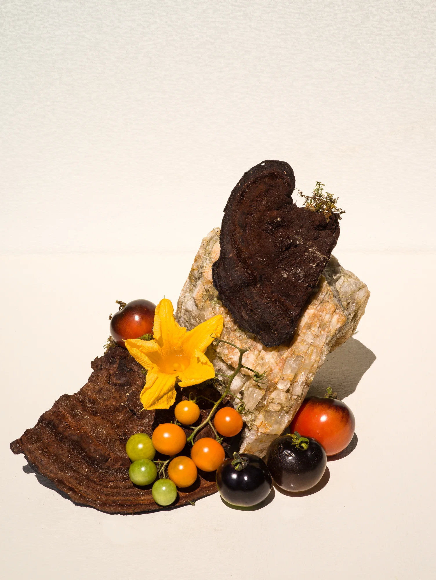 Mushrooms, Bark, Tomatoes, and Quartz