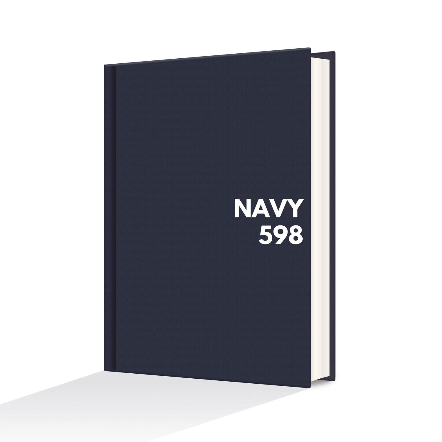 navy598.jpg