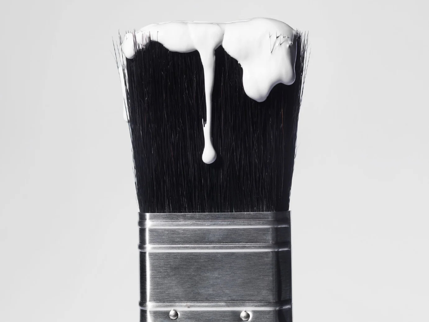 Kingfisher Cover.jpg