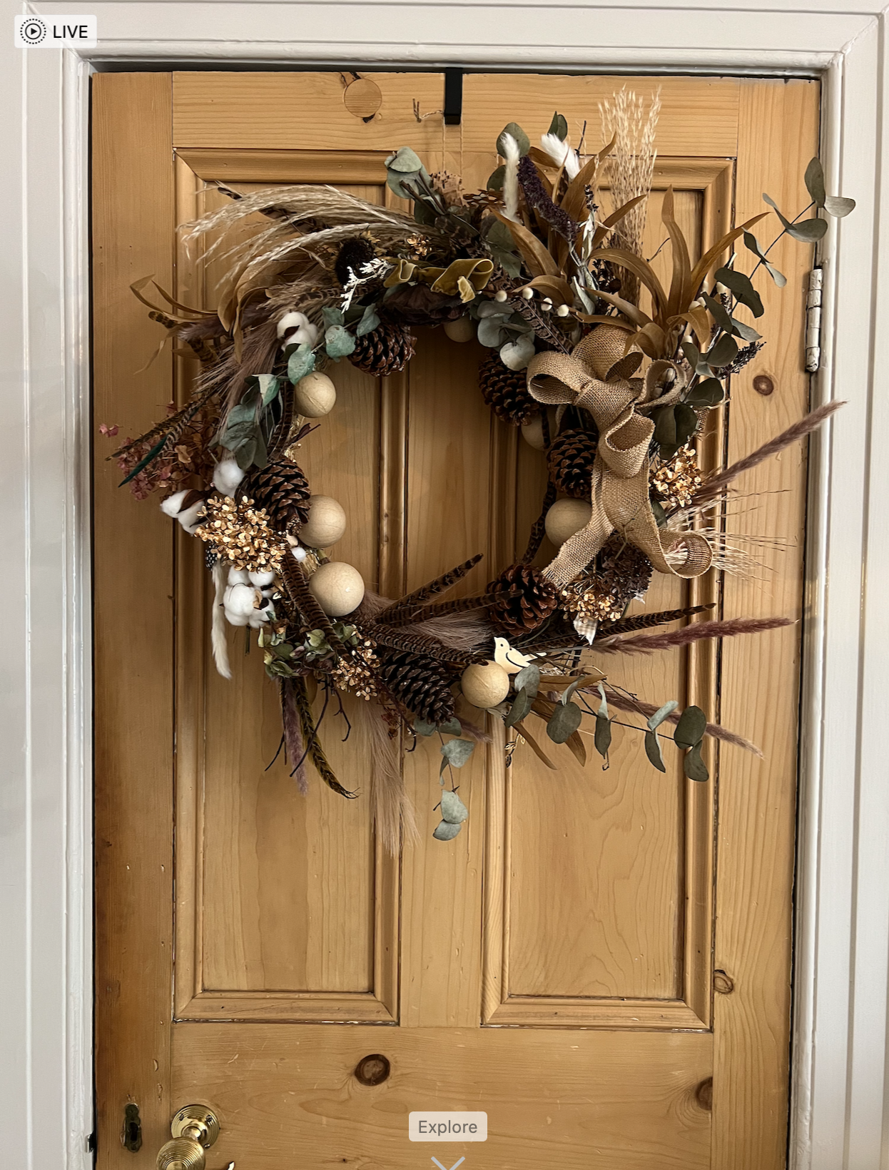 Sample shoot shots2.png