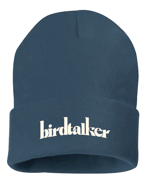 Blue Beanie.png