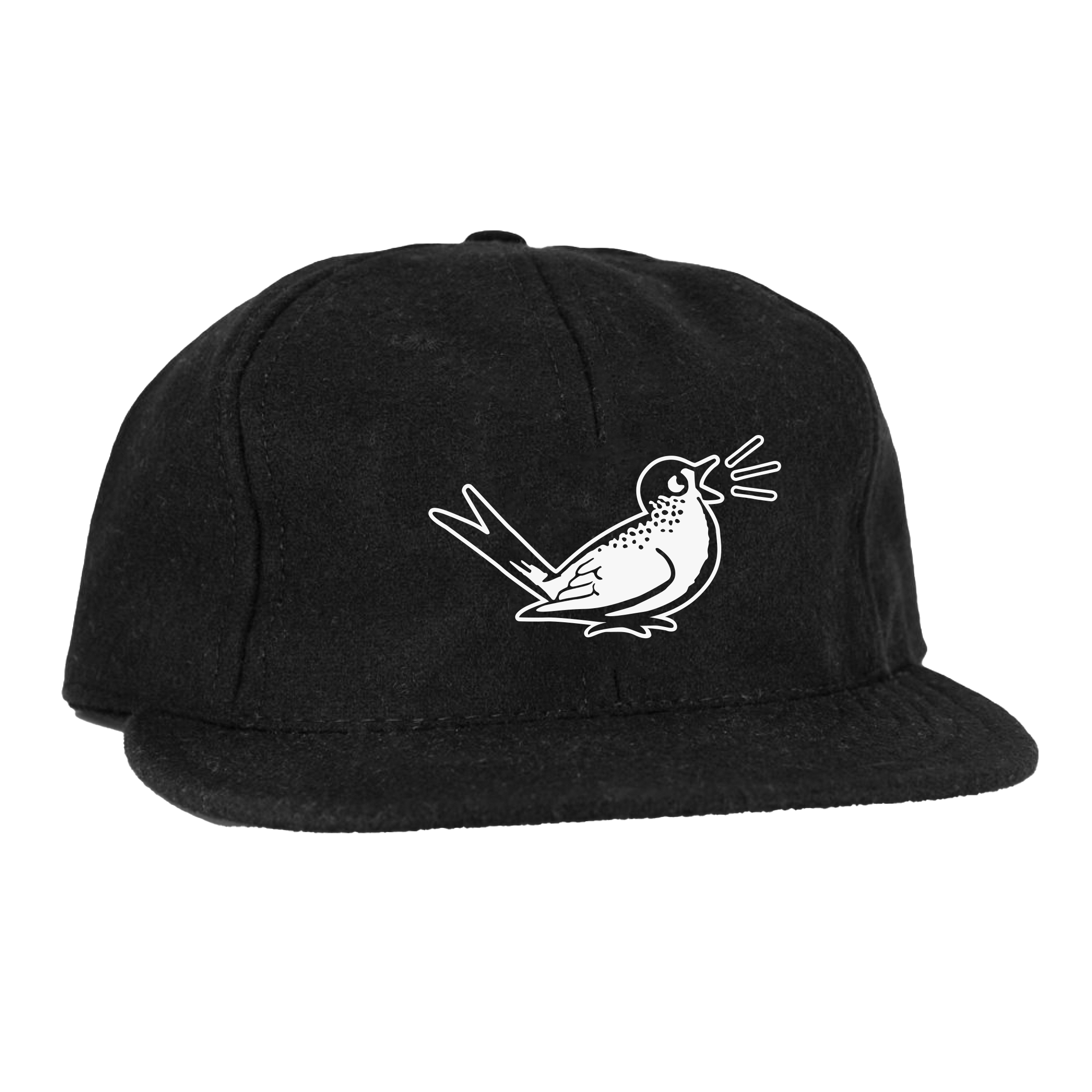 BirdHatBlack.png