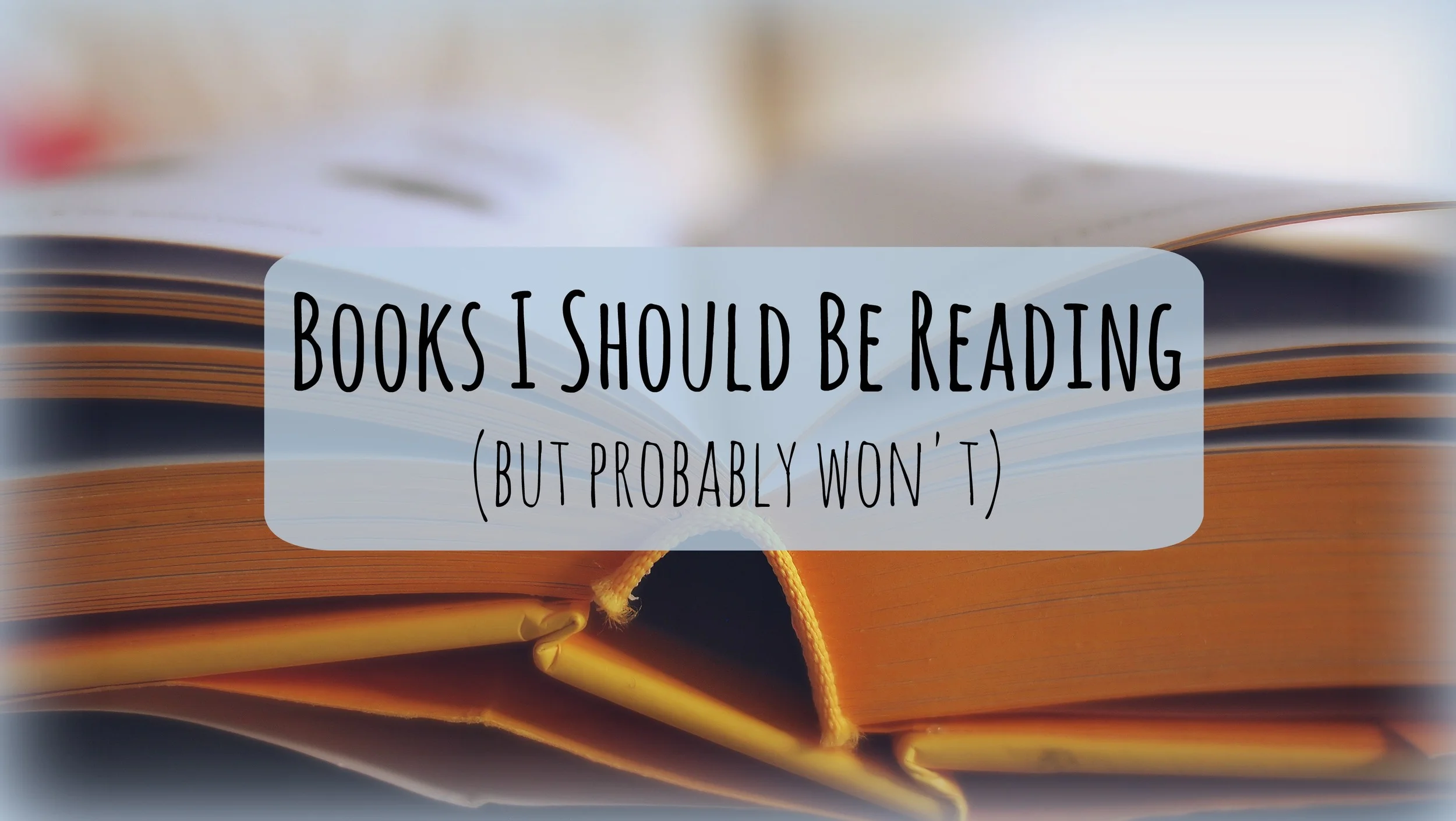 Books I Should Read (but probably won't)