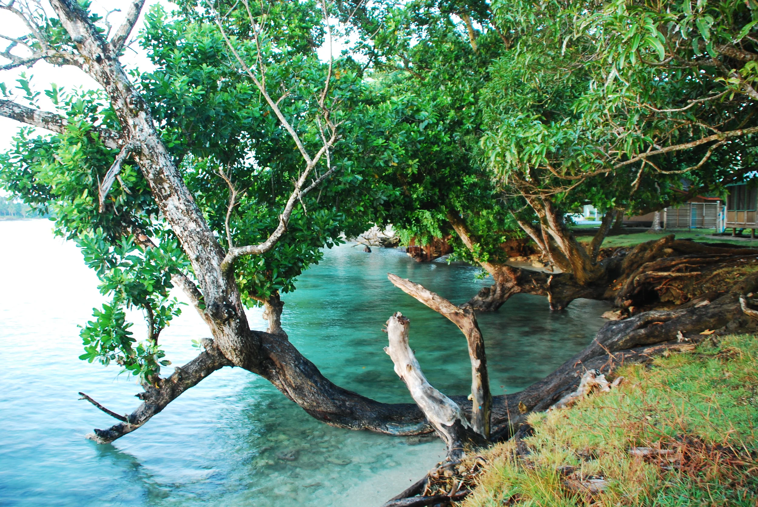Madang, PNG