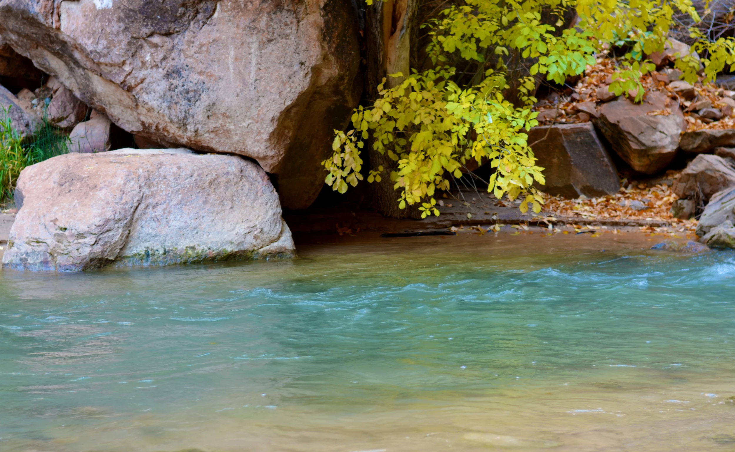 The beautiful Zion River than meanders through the park 