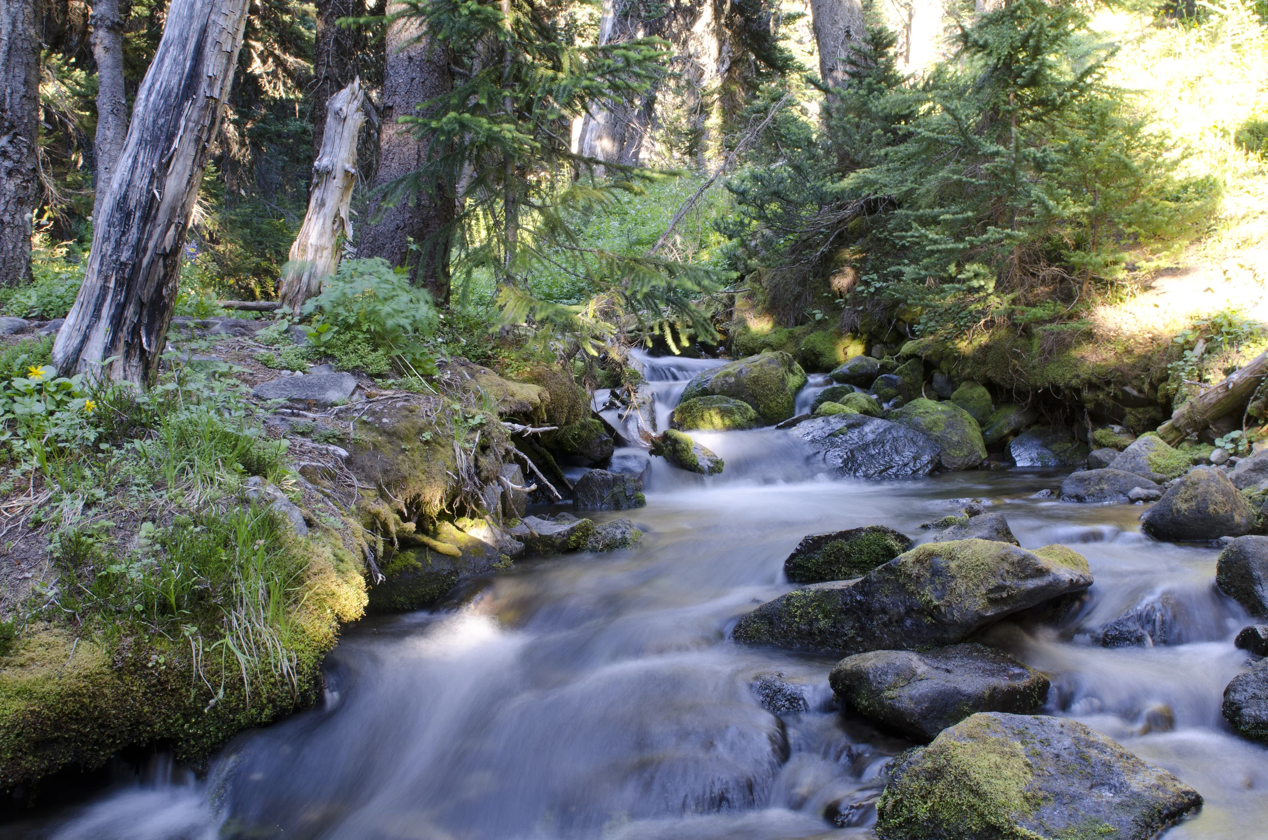 Lovely Granite Creek 