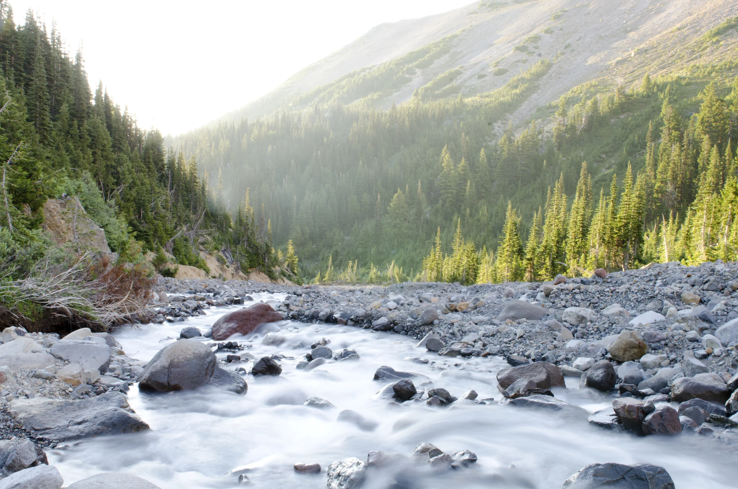 Our beautiful camp in Glacier Basin