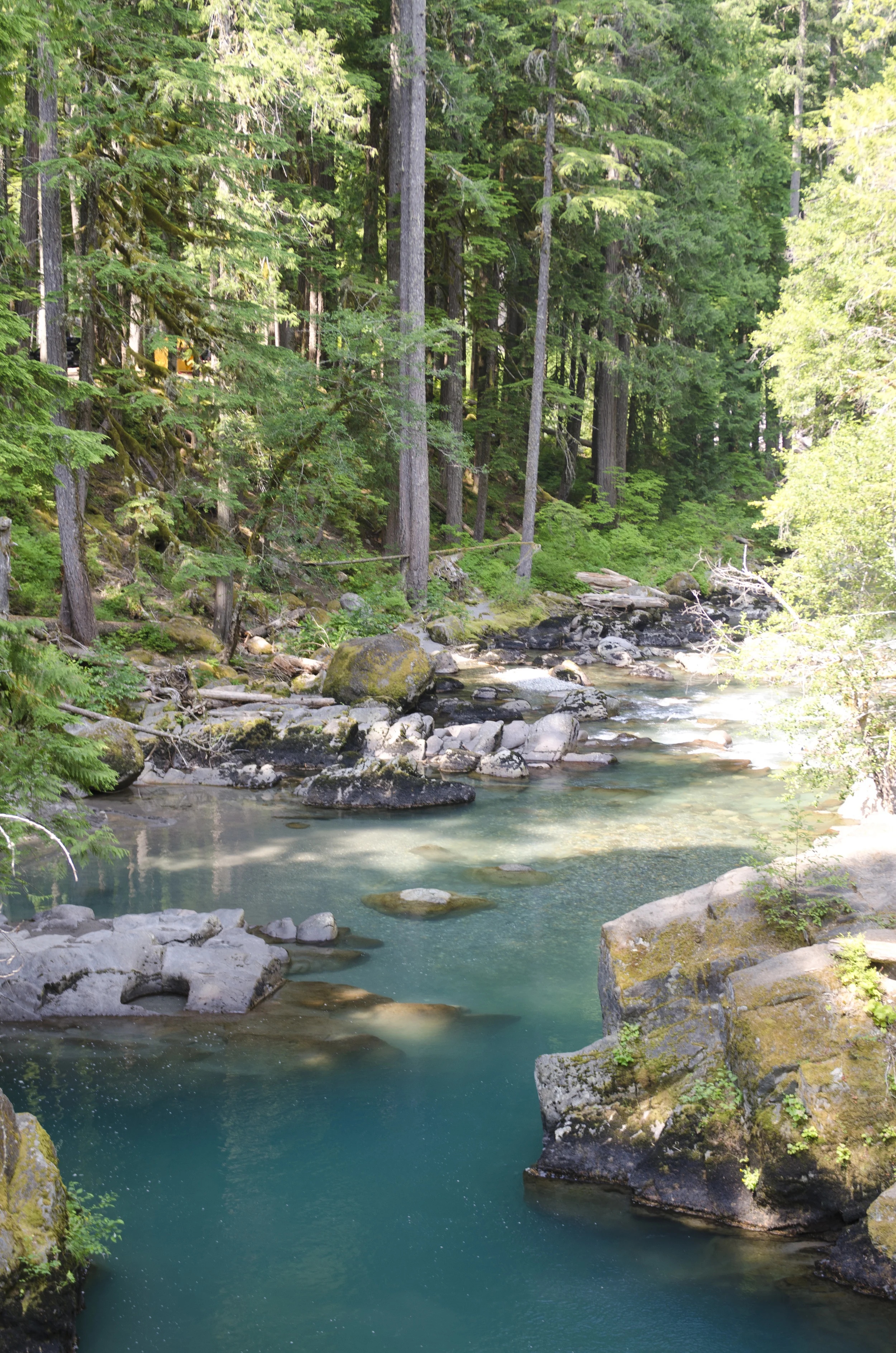 The Ohanapecosh River