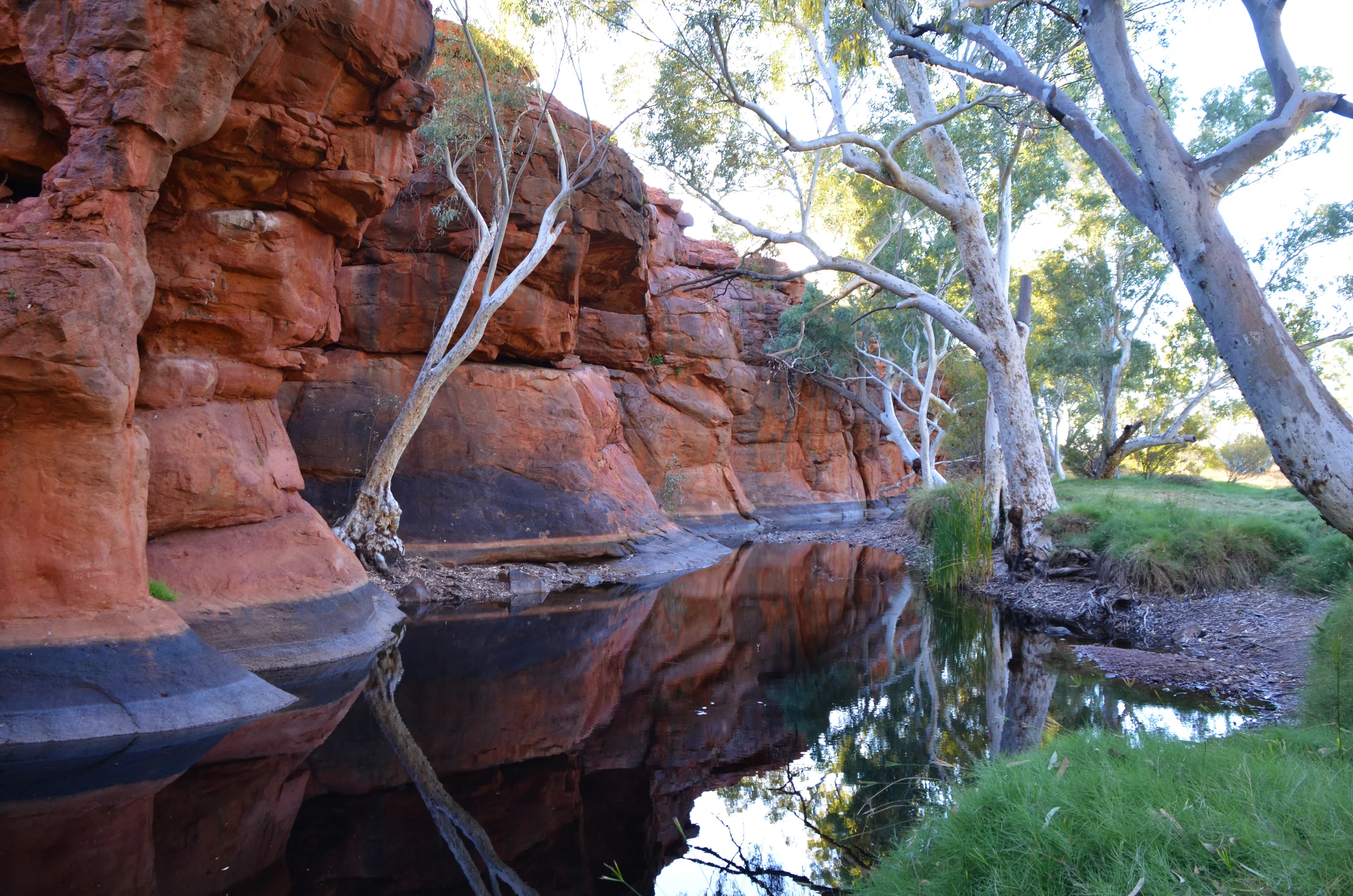 Durba Hills spring