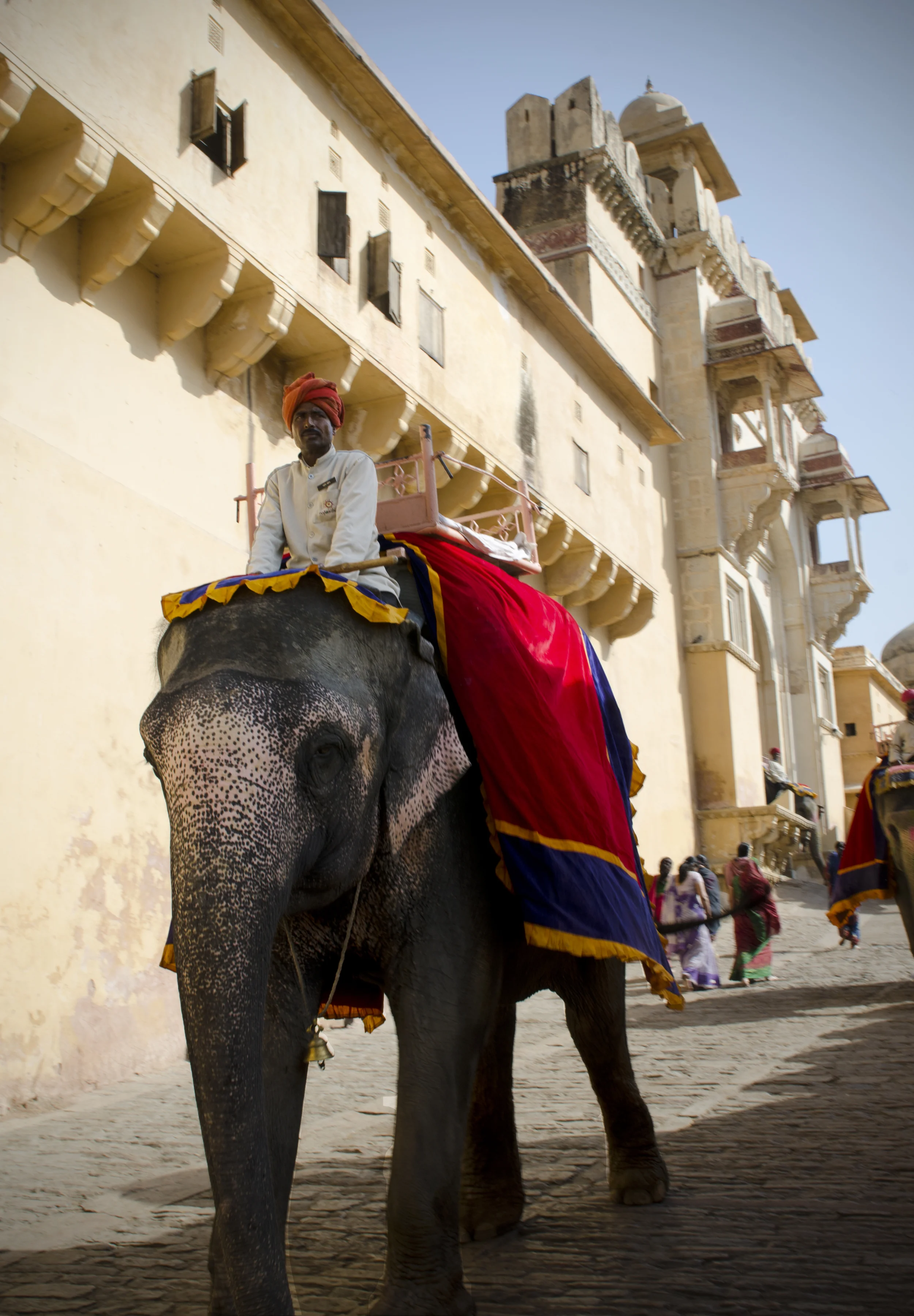 Elephants carrying people up and down to the Amber Palace