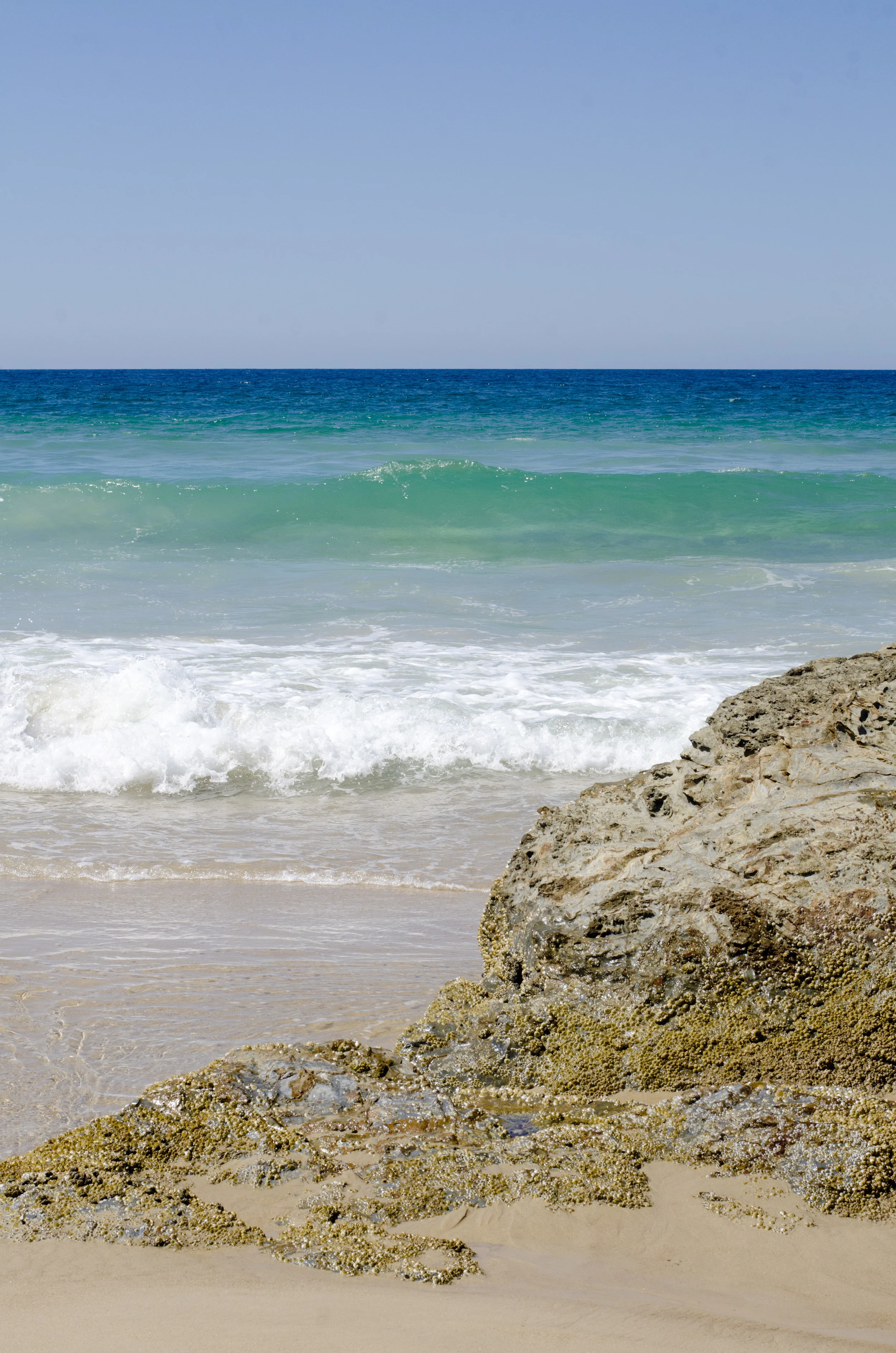 Lovely Currumbin