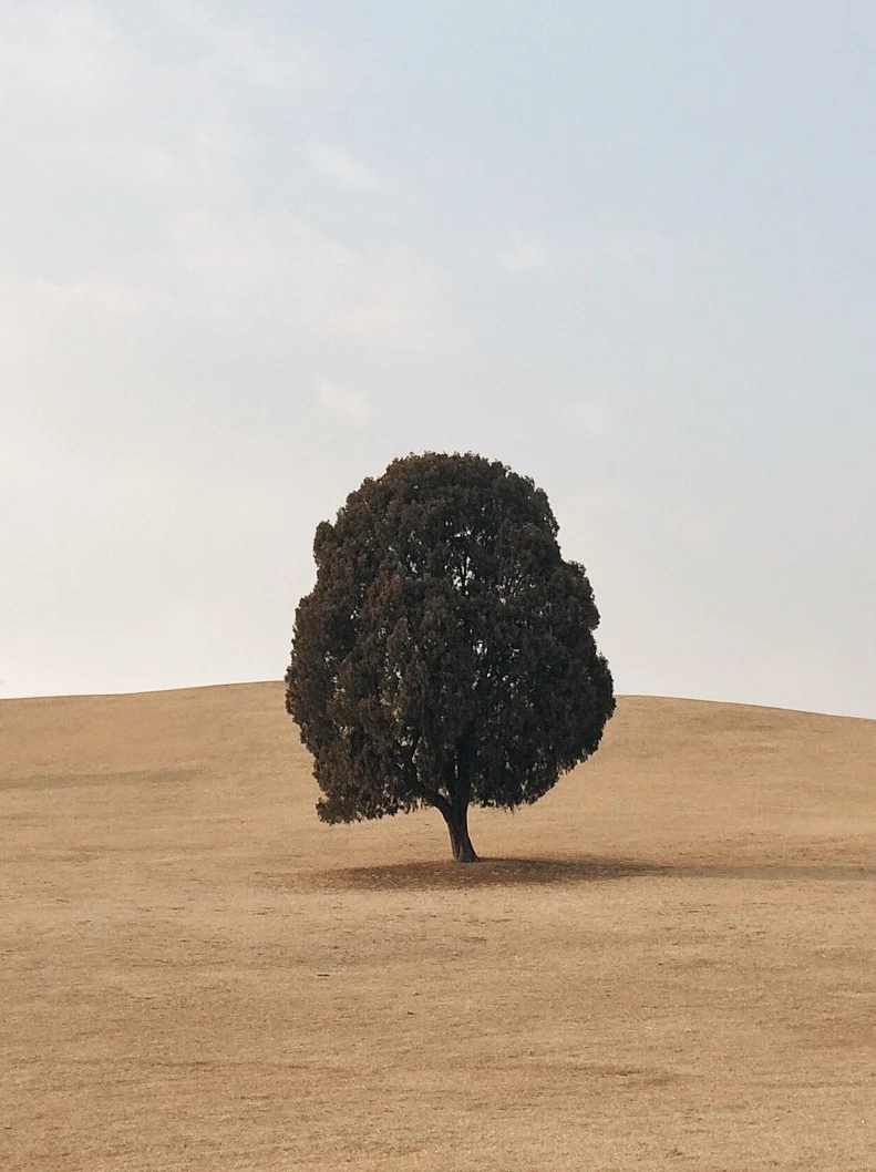 danielodowd:

http://aboutyohan.vsco.co/