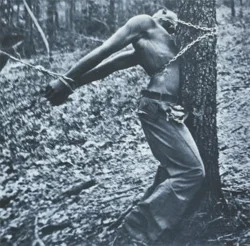 cc-loves-rocinmb:
angimia:
hismaidff:
msdeonb:
This make you uncomfortable? Why? Black history IS U.S. history. And the struggle hasn’t been pretty. This picture is only 75 years old. How many of your grandparents are 75? Don’t fear the past an…