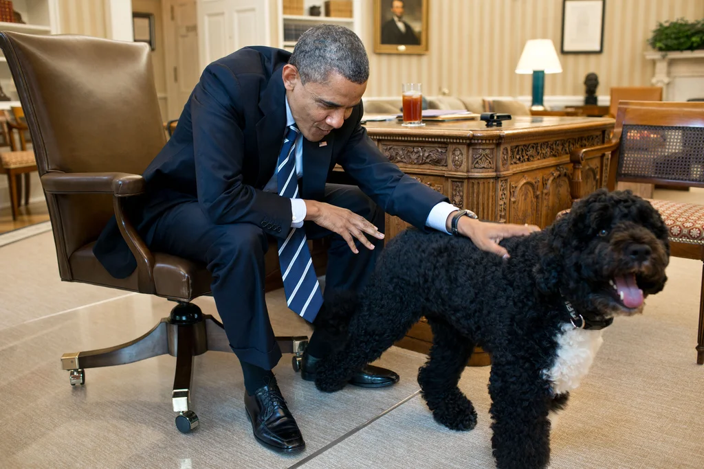 obamafamily:
President Barack Obama pets Bo, the Obama family dog, in the Oval Office, June 21, 2012. (Official White House Photo by Pete Souza)
Most iconic Pete Souza photos of Obama family’s first 4 years in the White House
