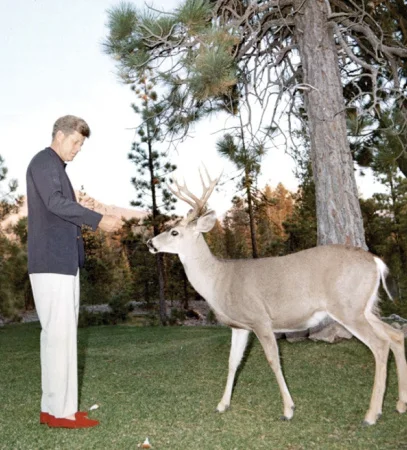 john-f-kennedy-and-his-family:
rfkfanclub:
that deer is actually a trained animal for the picture LOL
This picture was taken at Lassen Park September 27,1963. He gave all of the bread to the deer,then the next day when there wasn’t any toast on h…