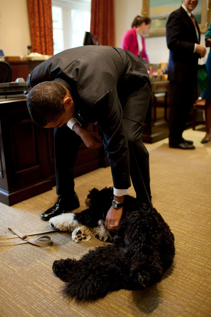 obamafamily:
President Barack Obama pets Bo in the Outer Oval Office, Oct. 29, 2009. (Official White House Photo by Pete Souza)
Most iconic Pete Souza photos of Obama family’s first 4 years in the White House
