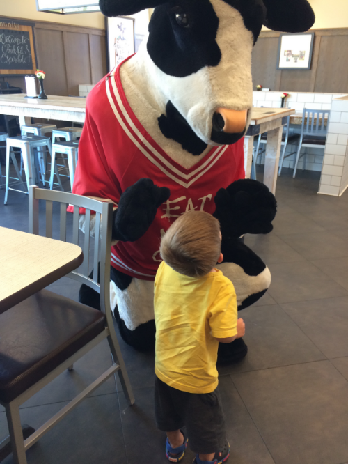 when all else fails go to Chick-fil-A. Entertainment. Food. Ice Coffees. and of course The Cow.