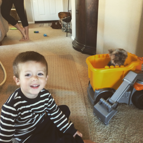 That's an excavator, with a dog in it ;)