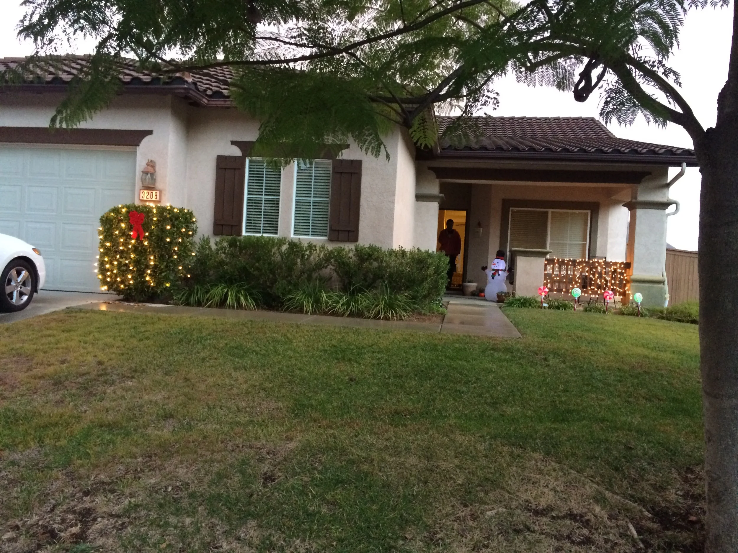 Hanging some Christmas lights. Ignore our grass, we are in a severe drought.