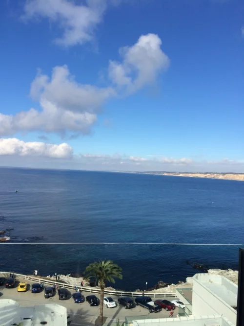 Do you have a favorite San Diego based blogger to share?
