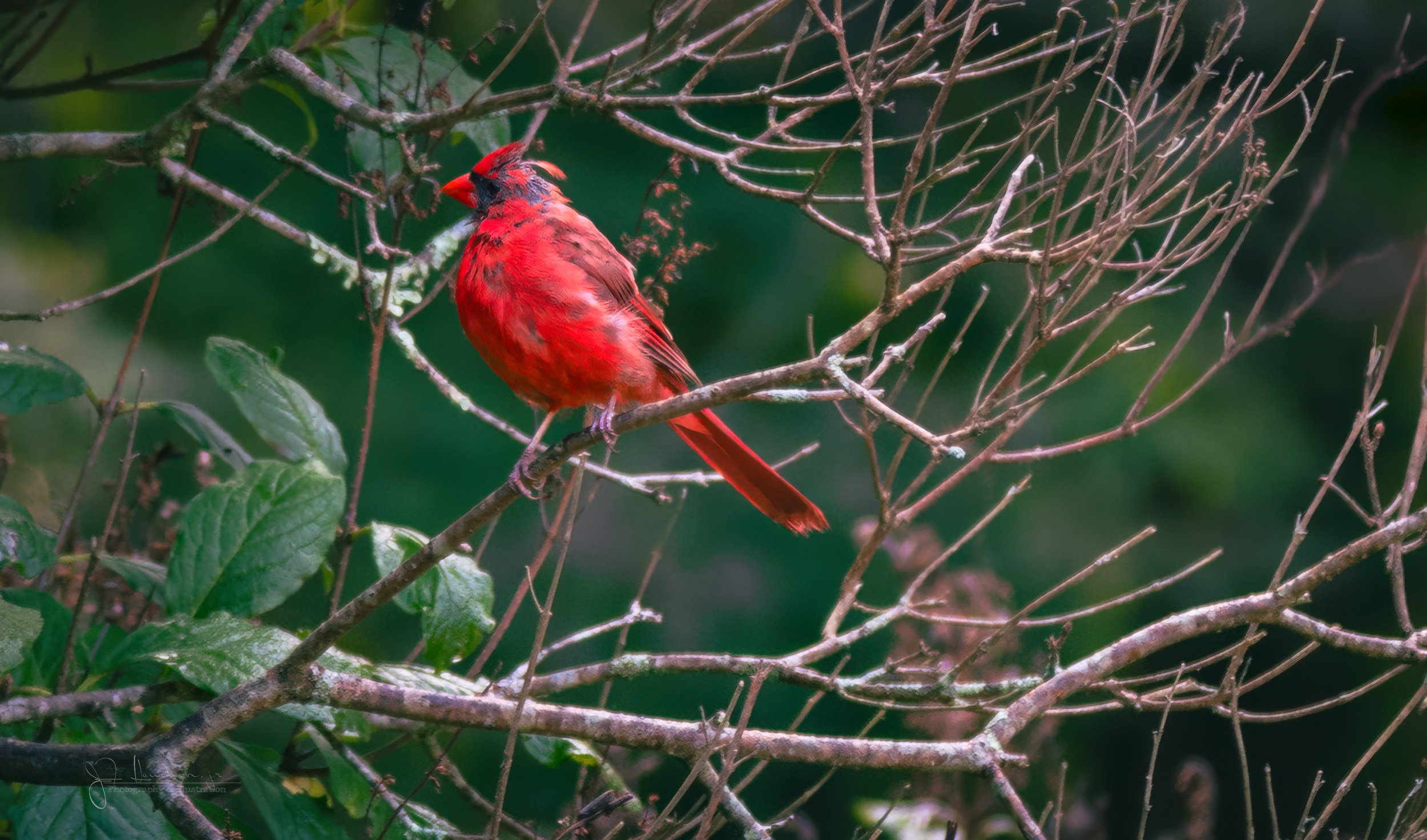 Worn Red
