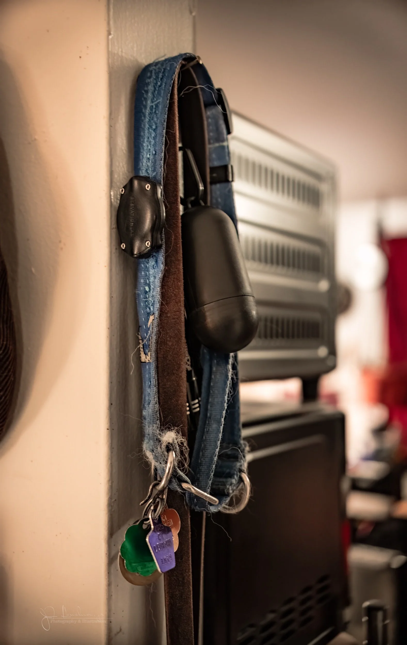 So Long My Deer Friend