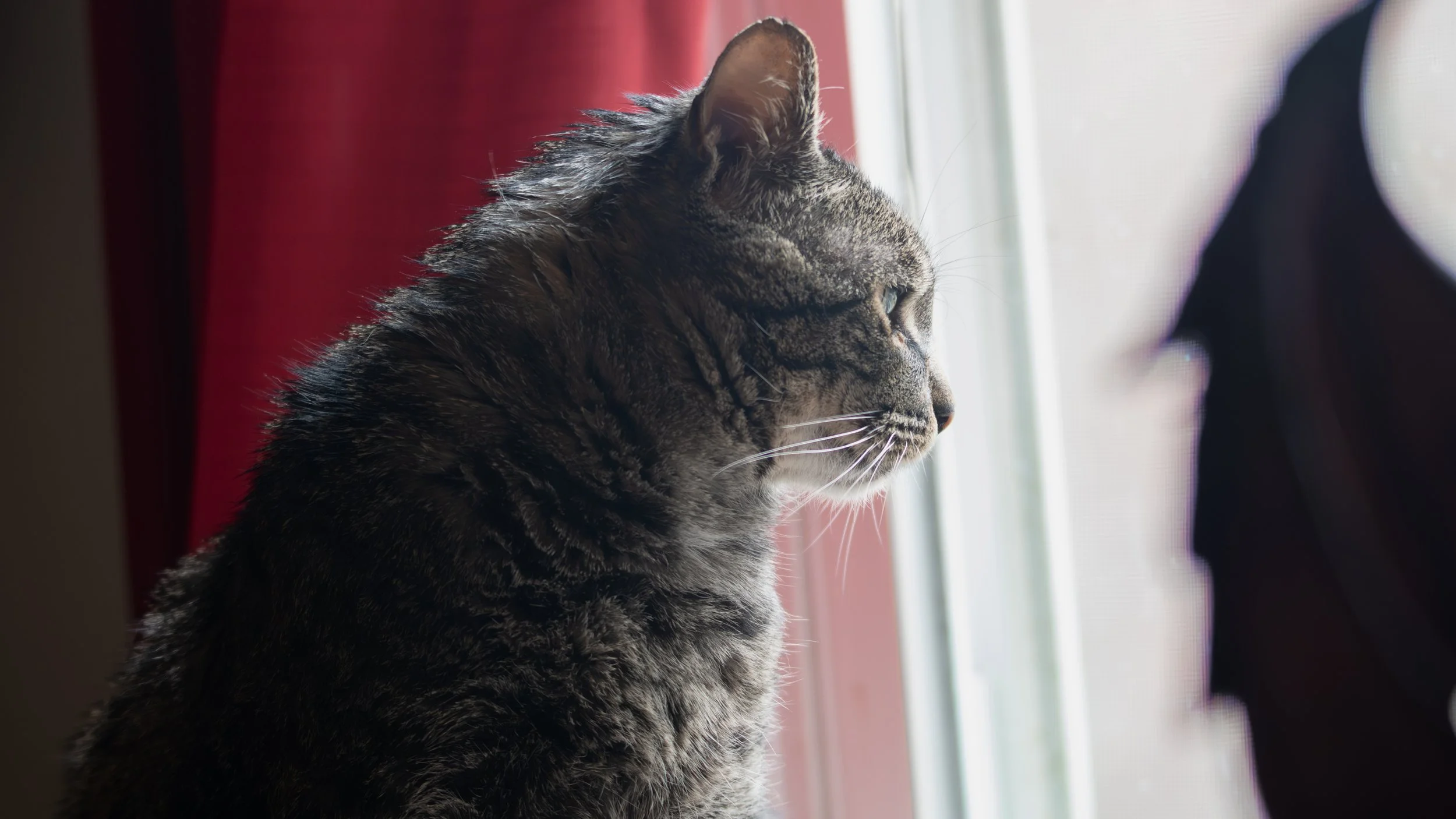 Introspective Moment