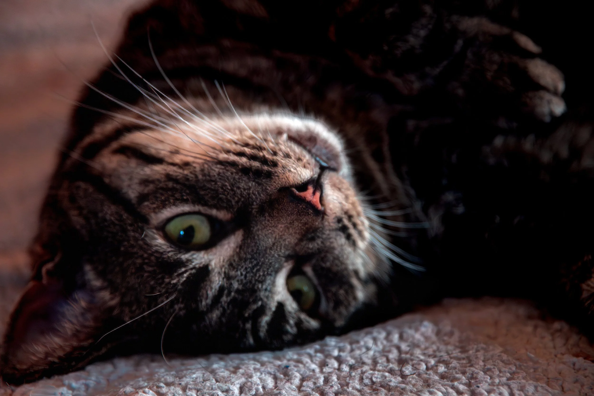 Slight Assembly Required