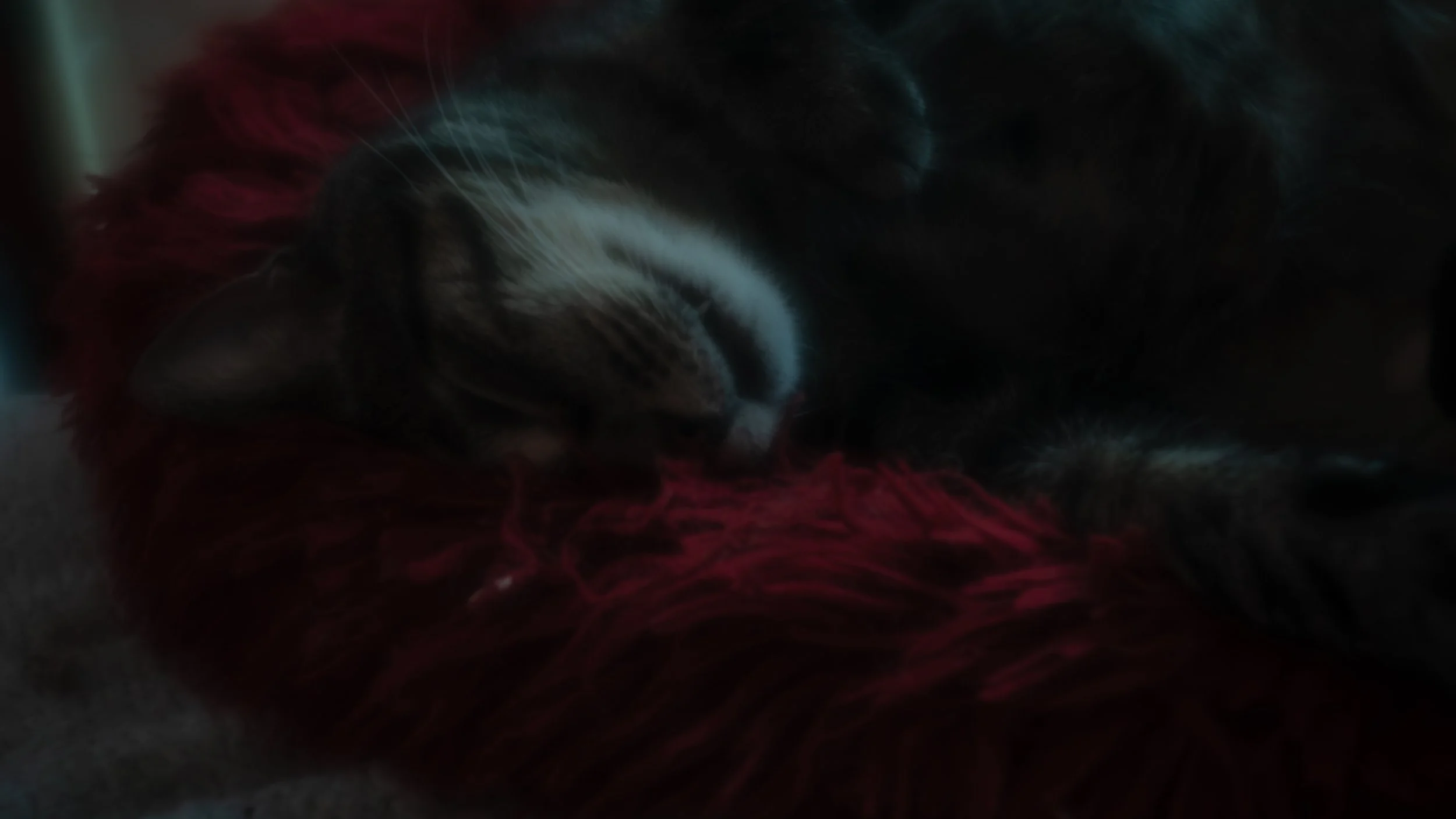 Comfy