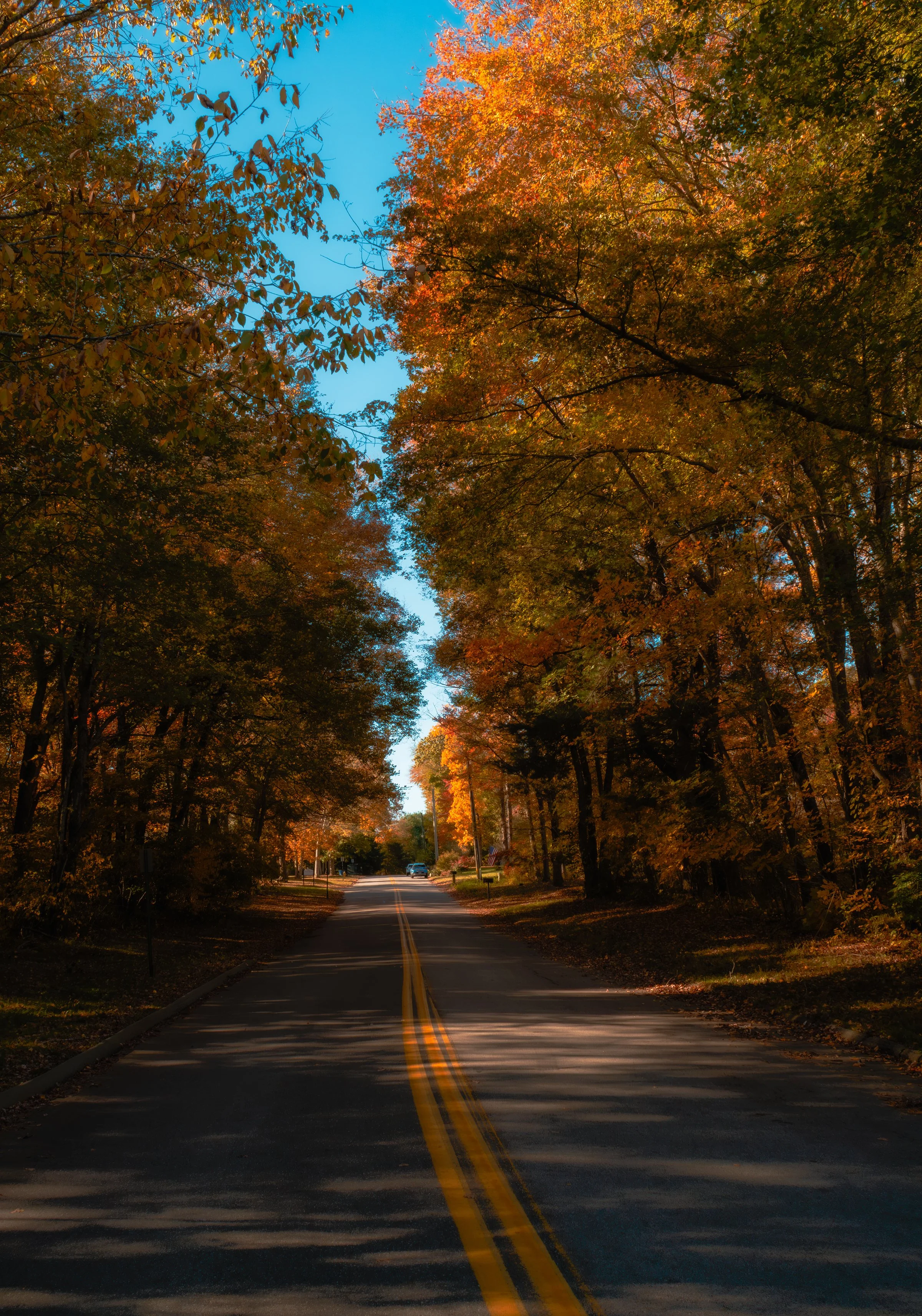autumn Road