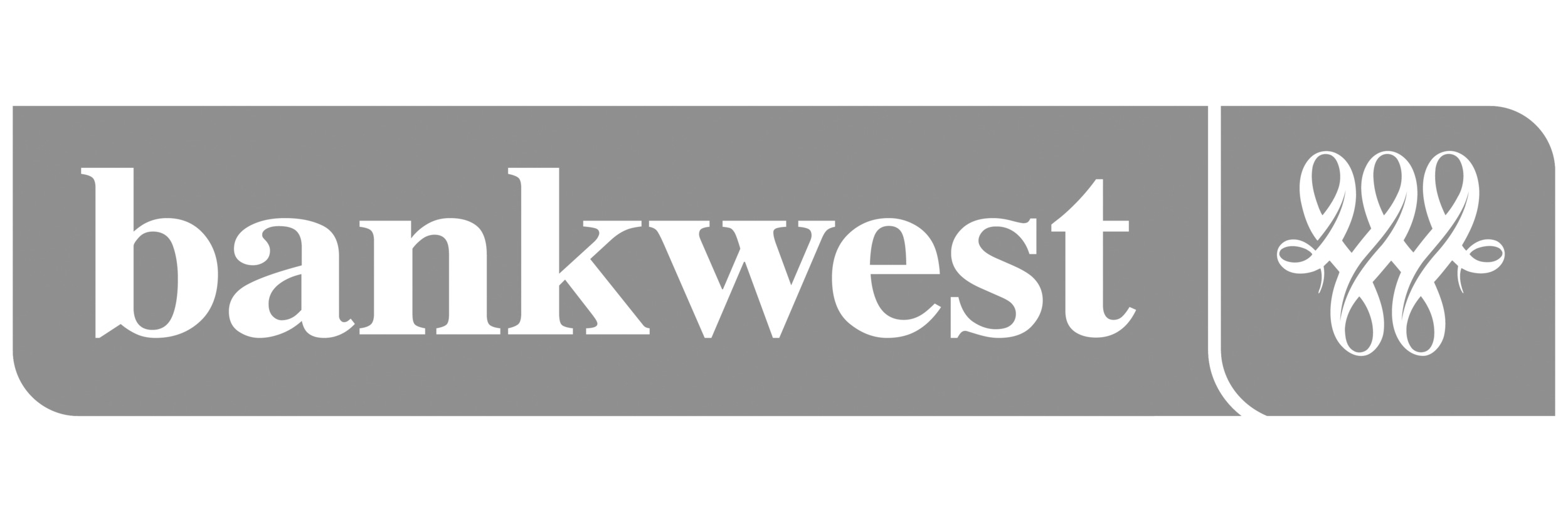 Bankwest_logo_1-3 copy.png