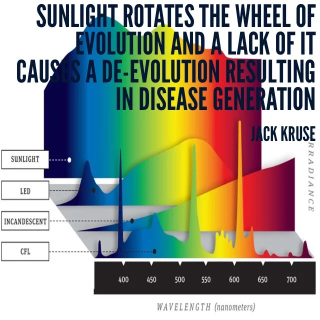 Dr Jack Kruse The Toxic Lighting Crisis And How To Fix It, Part One