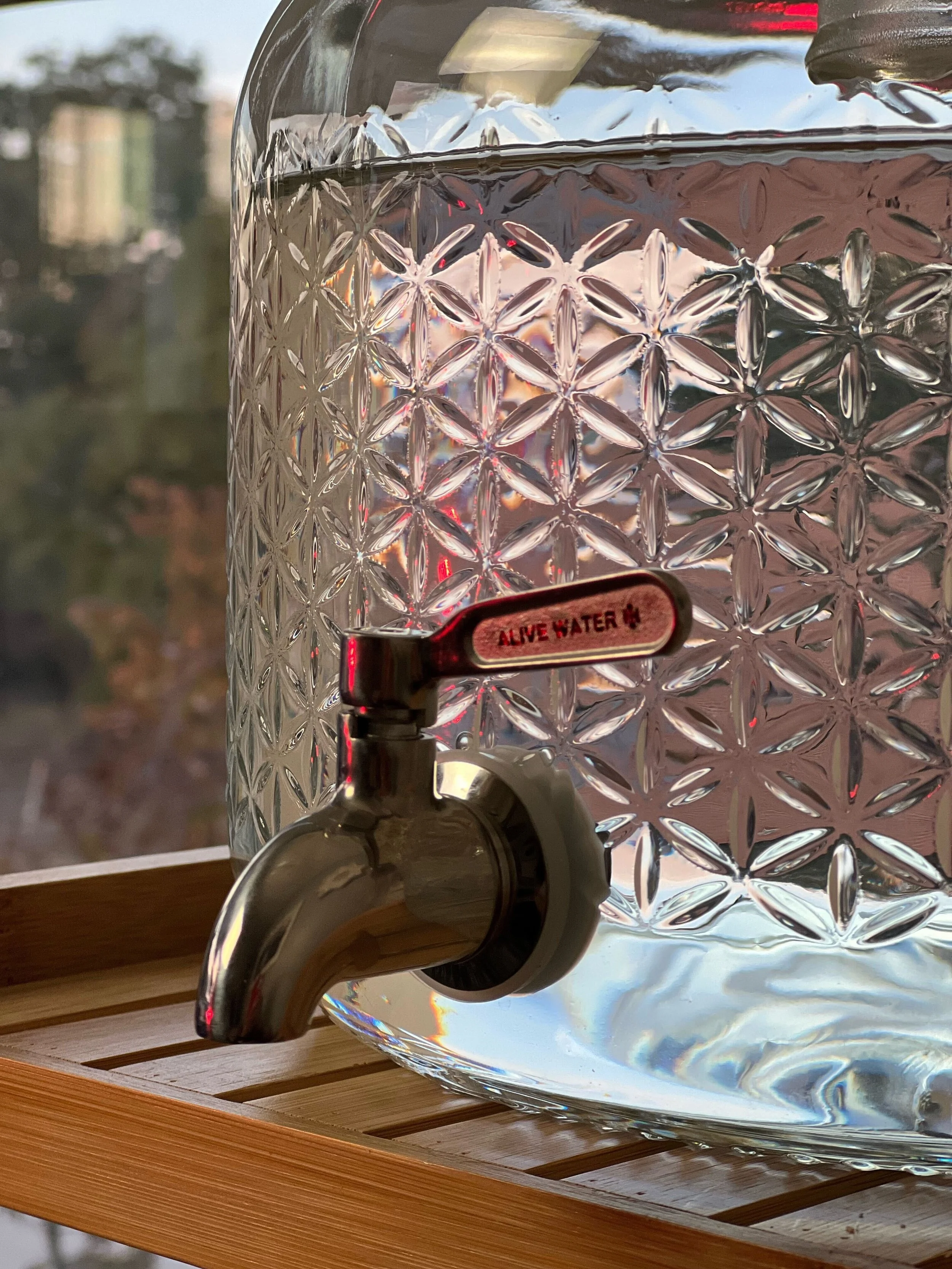 Spring Water Delivery Alive Waters — LUKE STOREY