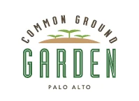 Logo and Website Design