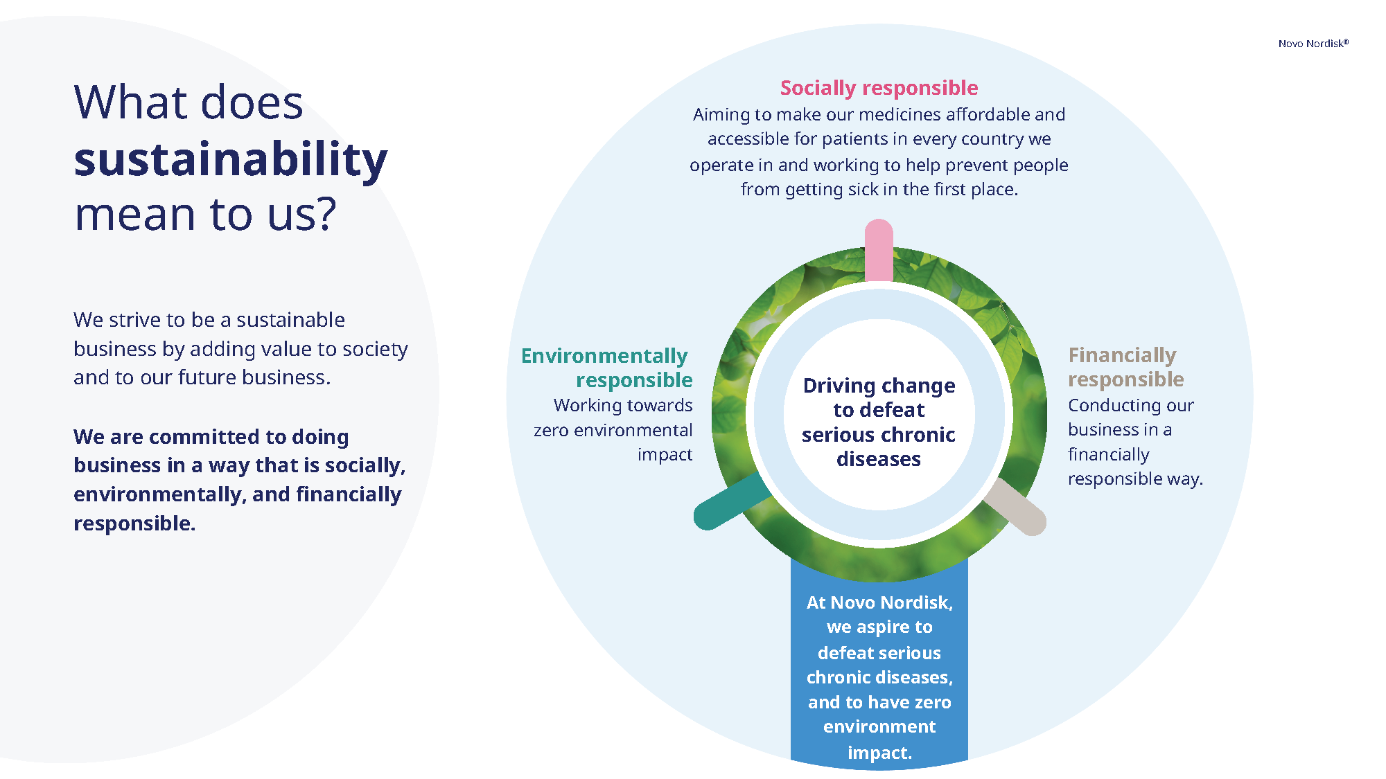 Novo Nordisk deck_Page_05.png