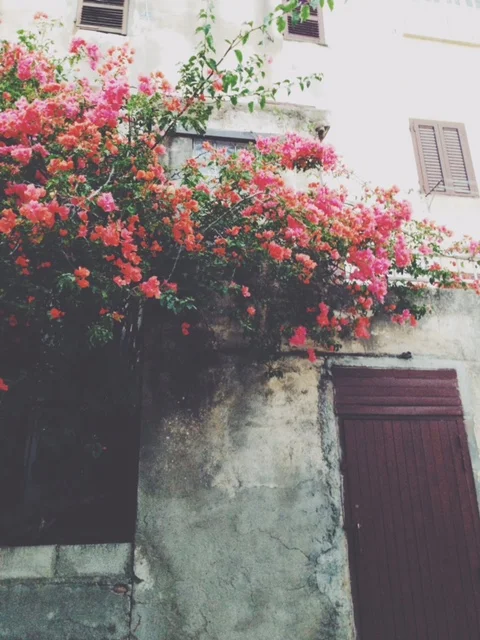 vscocam-photo-2.jpg