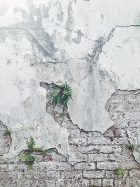 vscocam-photo-4.jpg