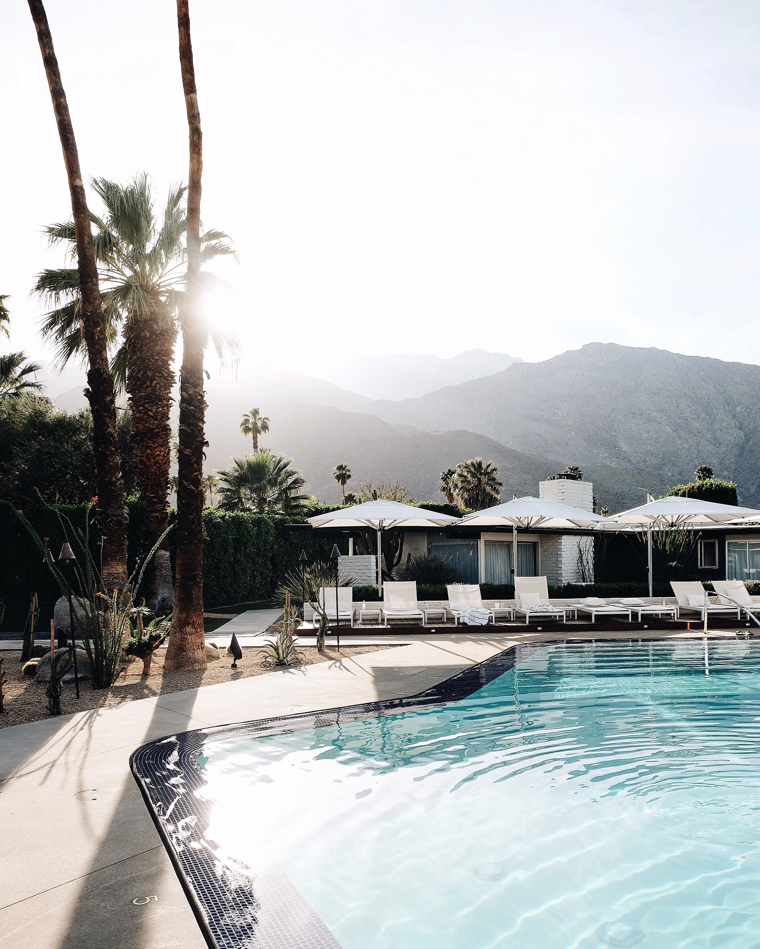 L'Horizon Hotel, Palm Springs Travel Guide