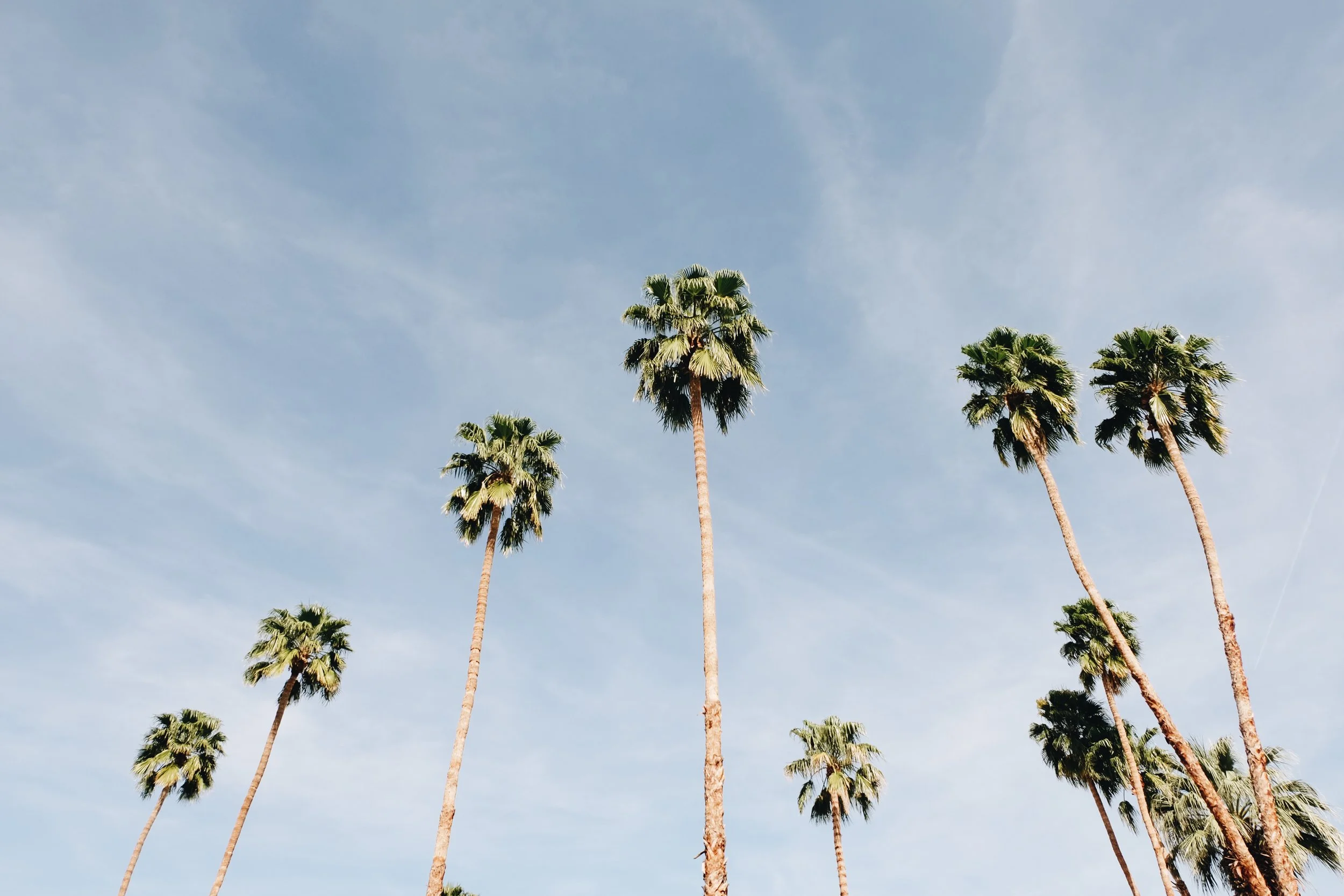 Palm Springs Travel Guide