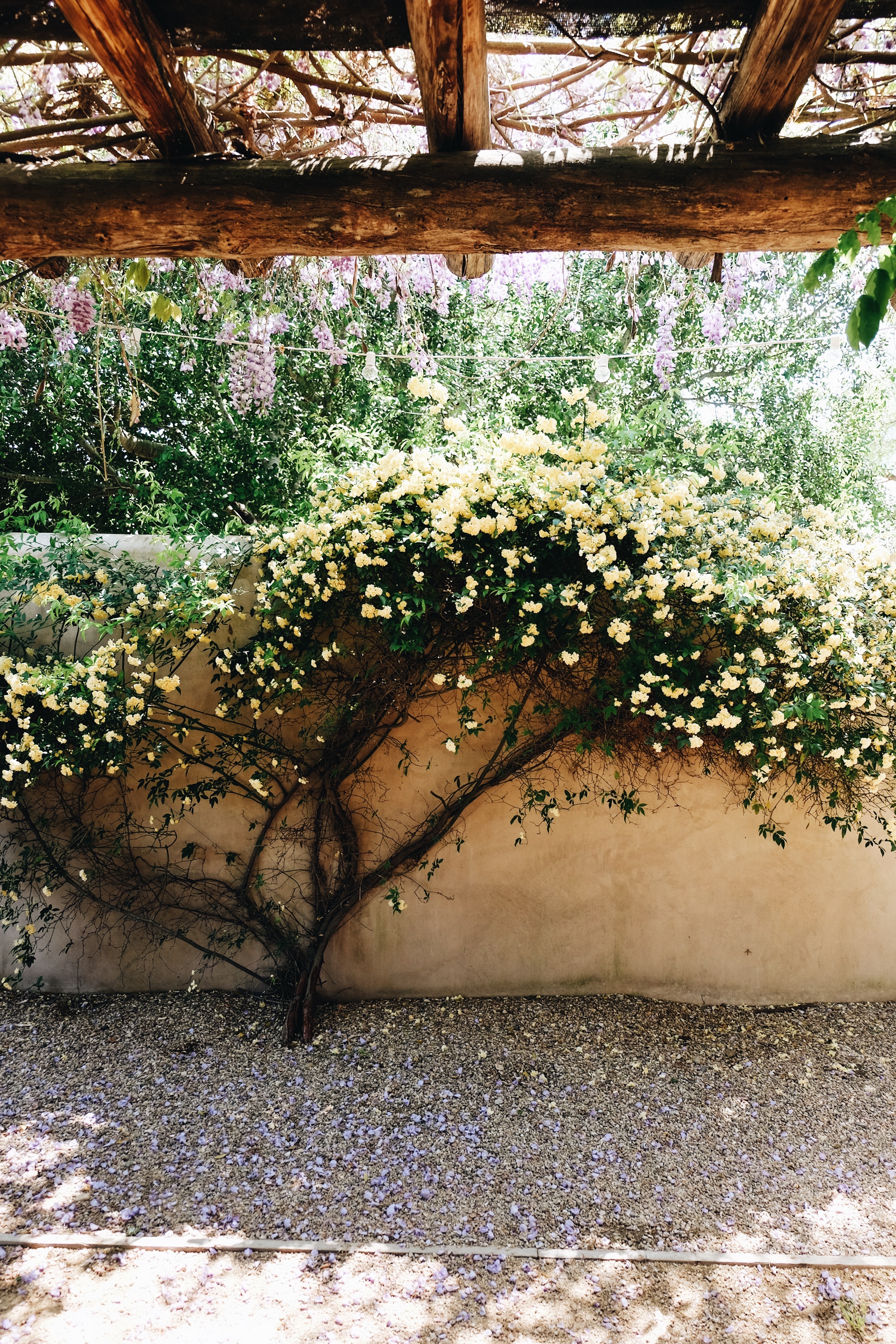 Traveling with Baby, Travel Guide to Santa Barbara