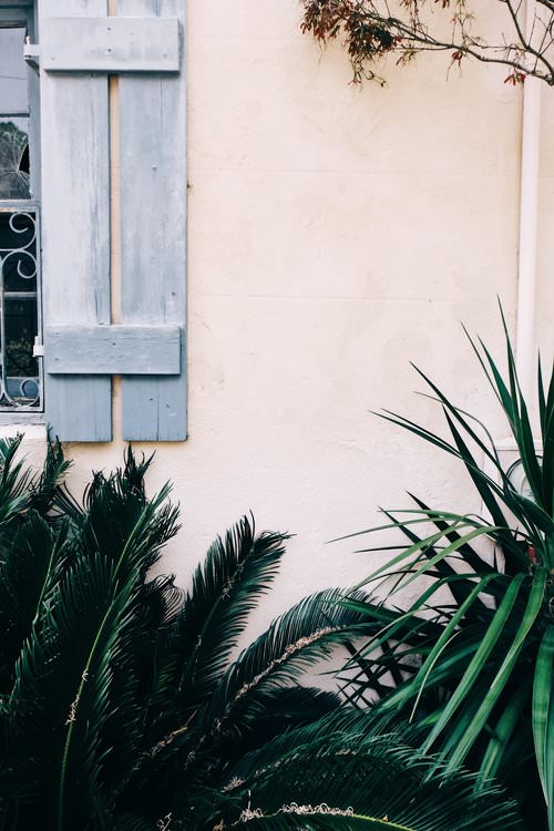 Travel Guide to Charleston