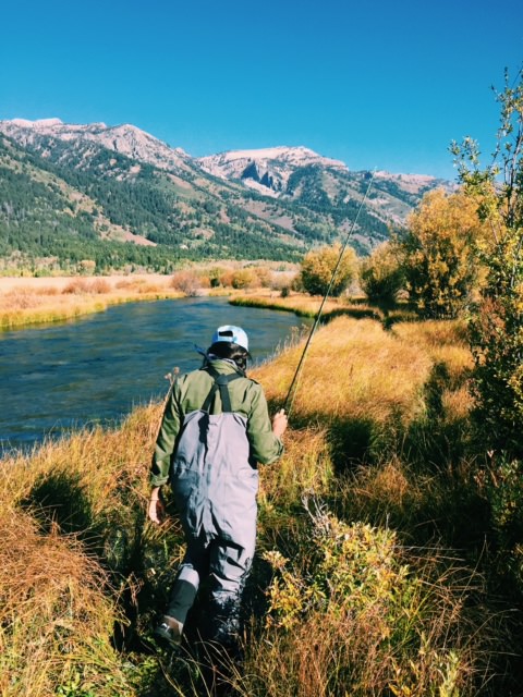 Fly-fishing, . Travel Guide to Jackson Hole, Wyoming