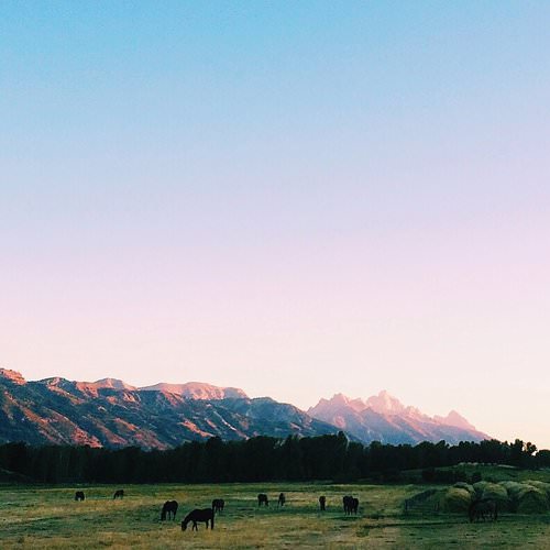 .Grand Teton National Park, Travel Guide to Jackson Hole, Wyoming