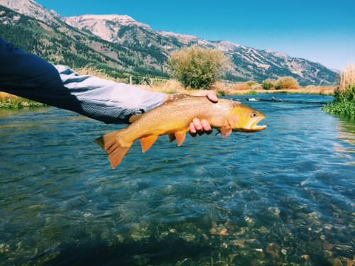 . Travel Guide to Jackson Hole, Wyoming